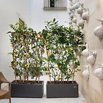 Maniace Boutique Ortigia | Esperienze 4*